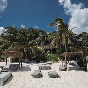 nest-tulum.quintano-roohotels.com/